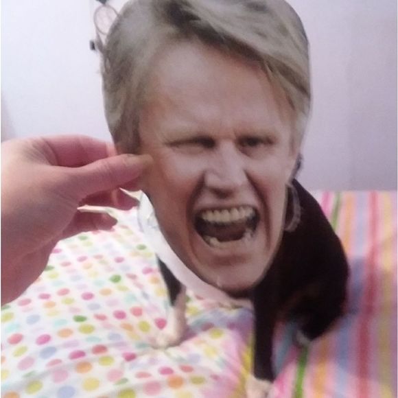 Meet My Shipping Department - Picture 6 of 6